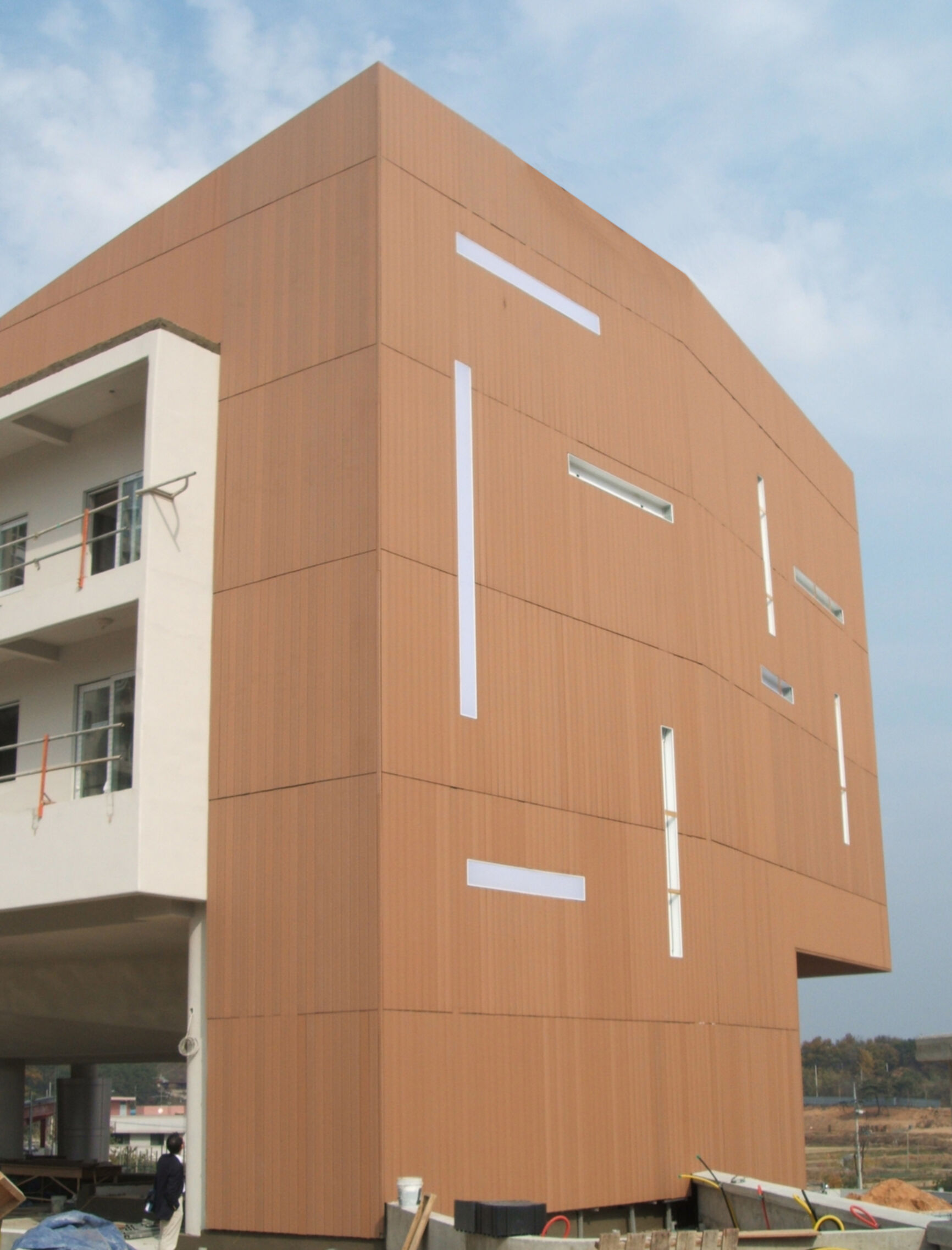Wohngebäude_Fassadenverkleidung - vertikal_Wohnhaus